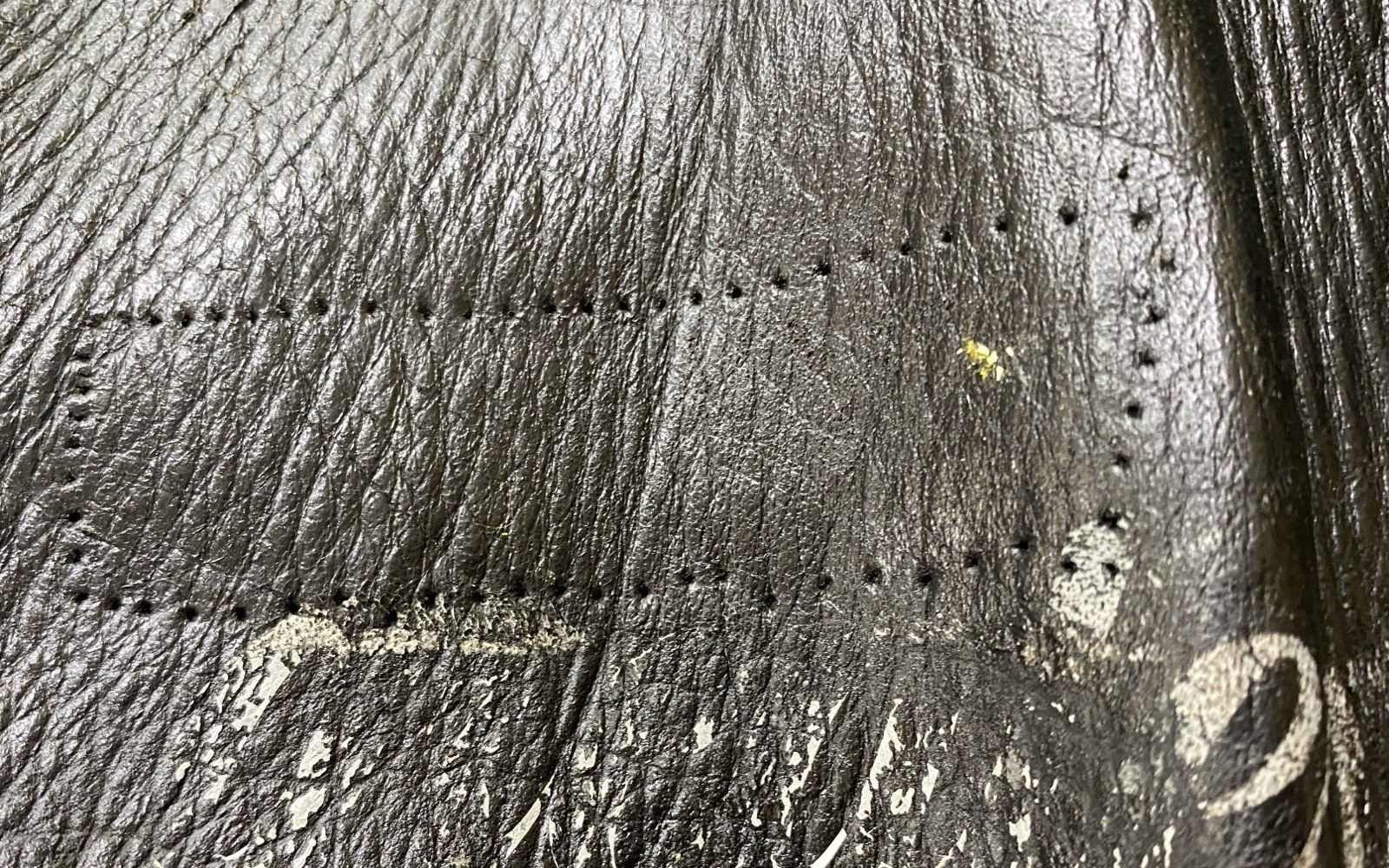 ワッペンを外したあとに残った針の穴の列